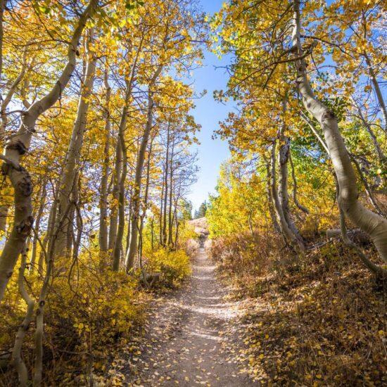 Fall Activities in Colorado
