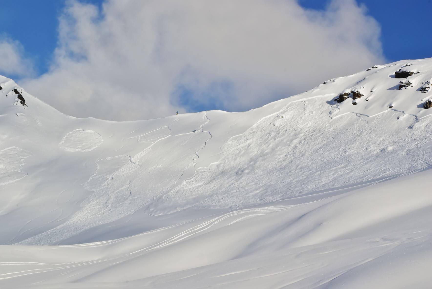 Avalanche 101 Clinic