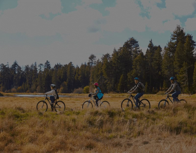 Full Day Mountain Bike Tour