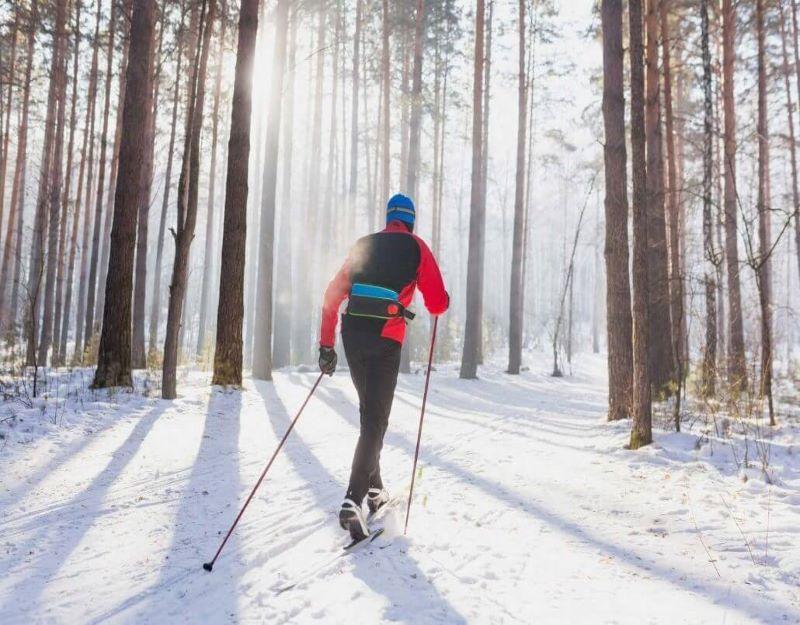 Guided Nordic Skiing Tours in Colorado