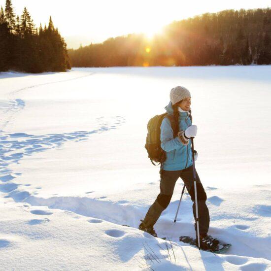 Guided Snowshoe Tours in Colorado