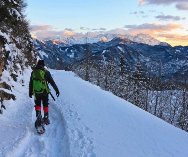 Snowshoeing Guides in Colorado