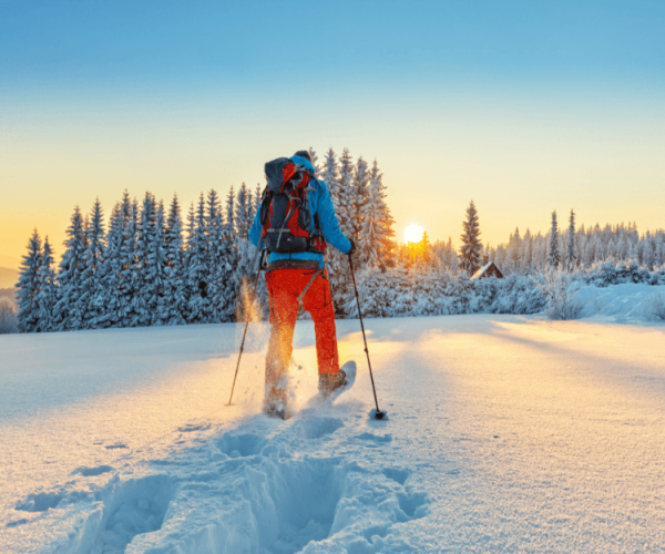 Snowshoeing Tours in Colorado