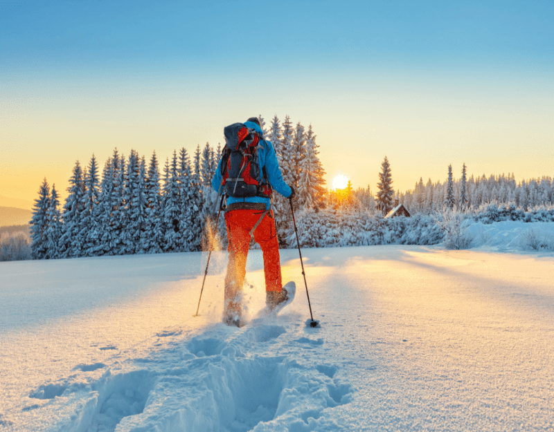 Snowshoeing Tours in Colorado