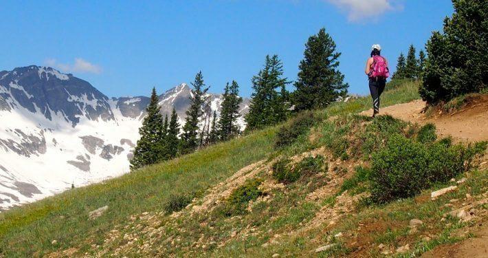 Wildflower Hikes - Boreas Pass