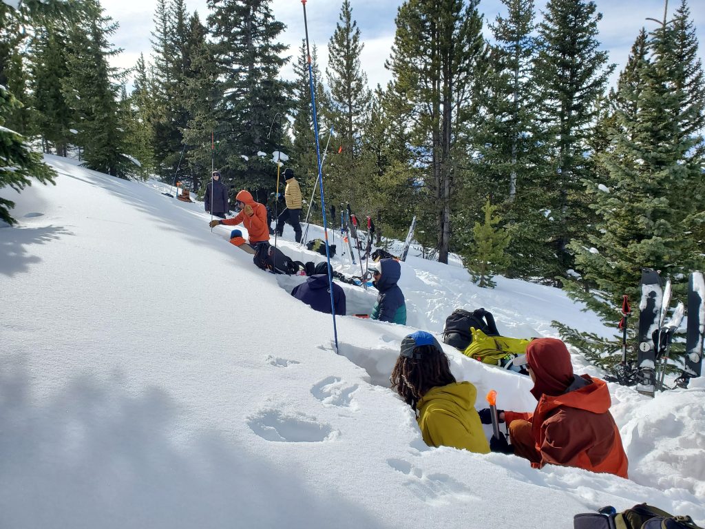 Avalanche Courses