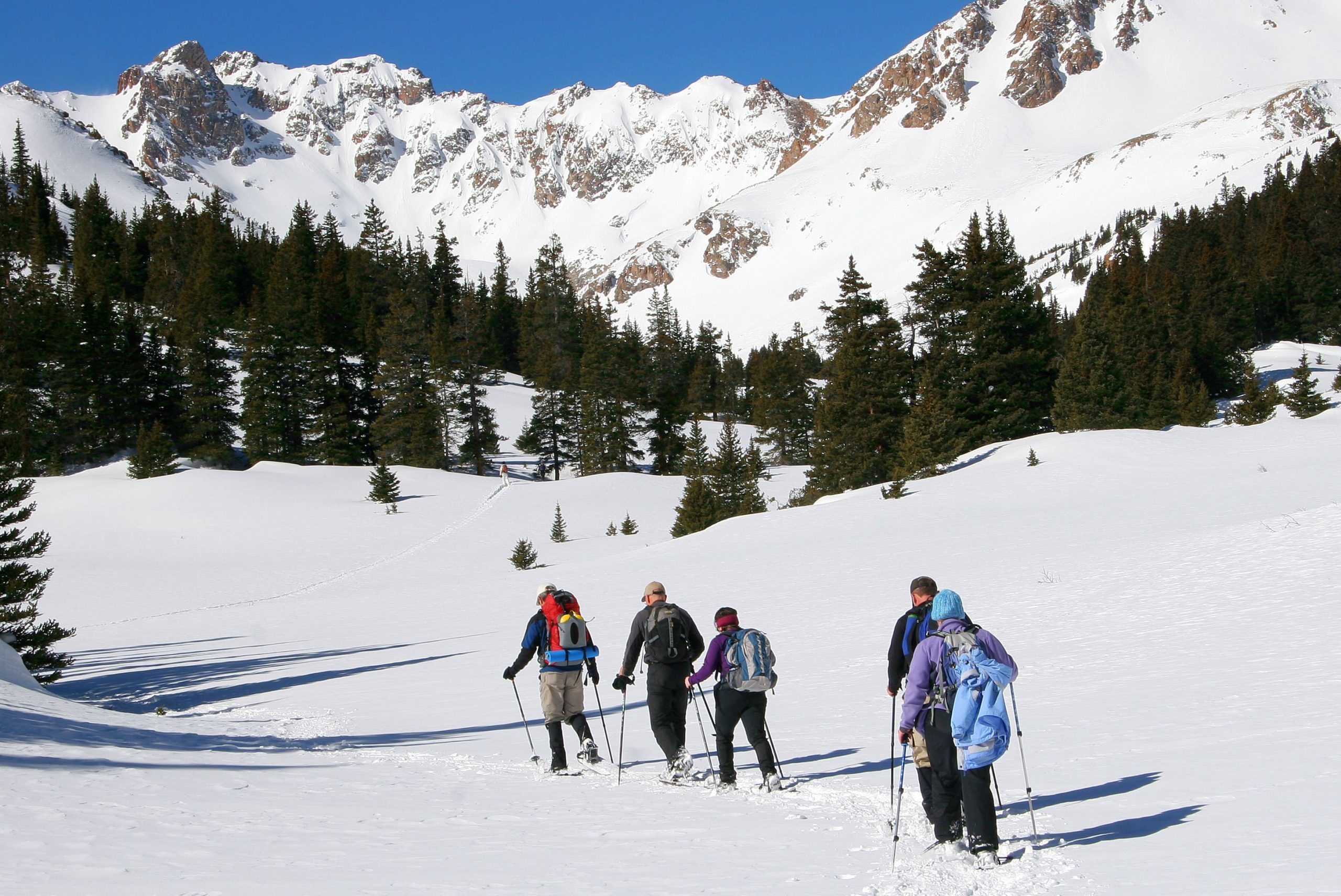Colorado Snowshoeing FAQs
