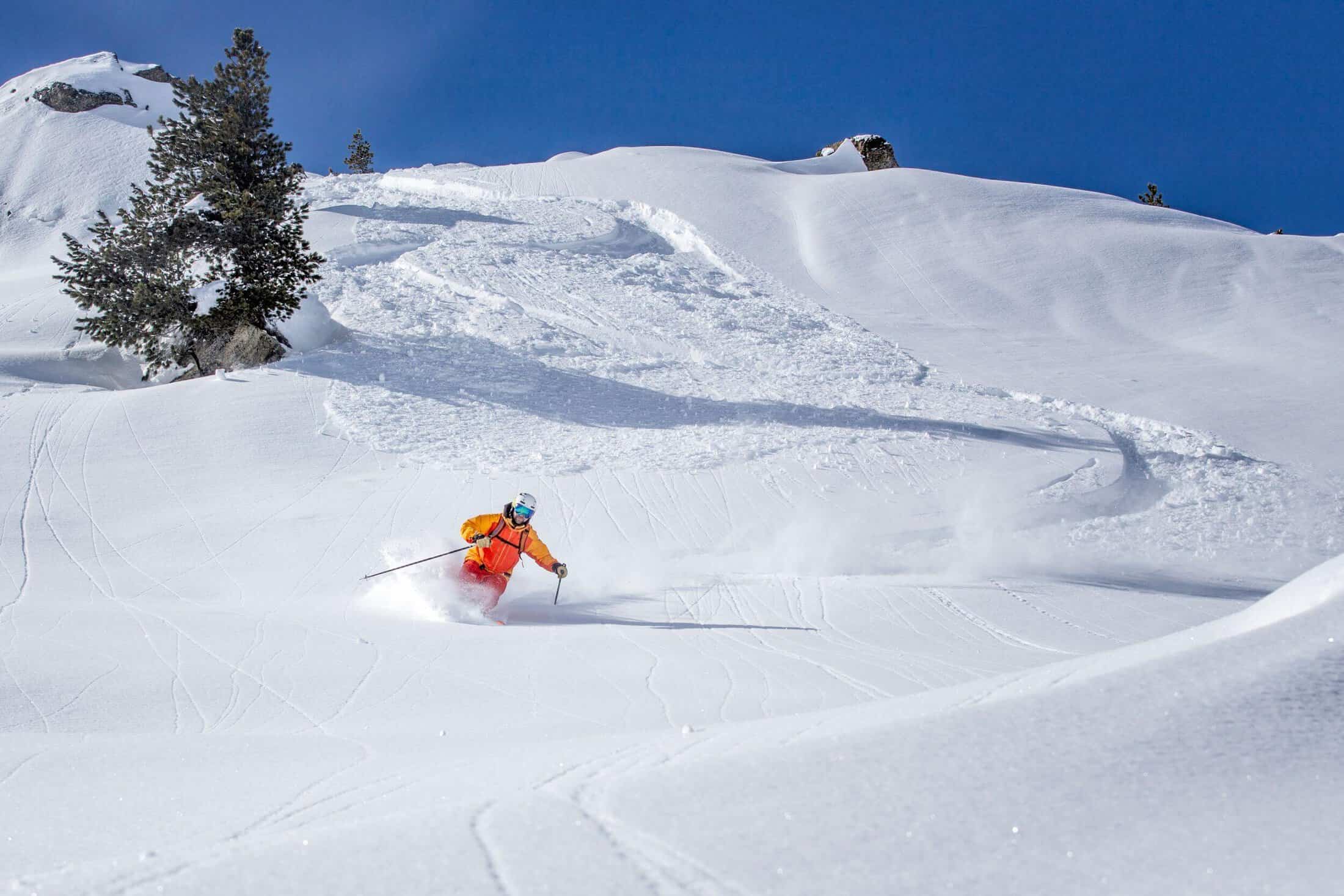 backcountry skiing tour company in colorado