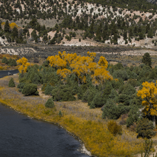 roadless rule colorado