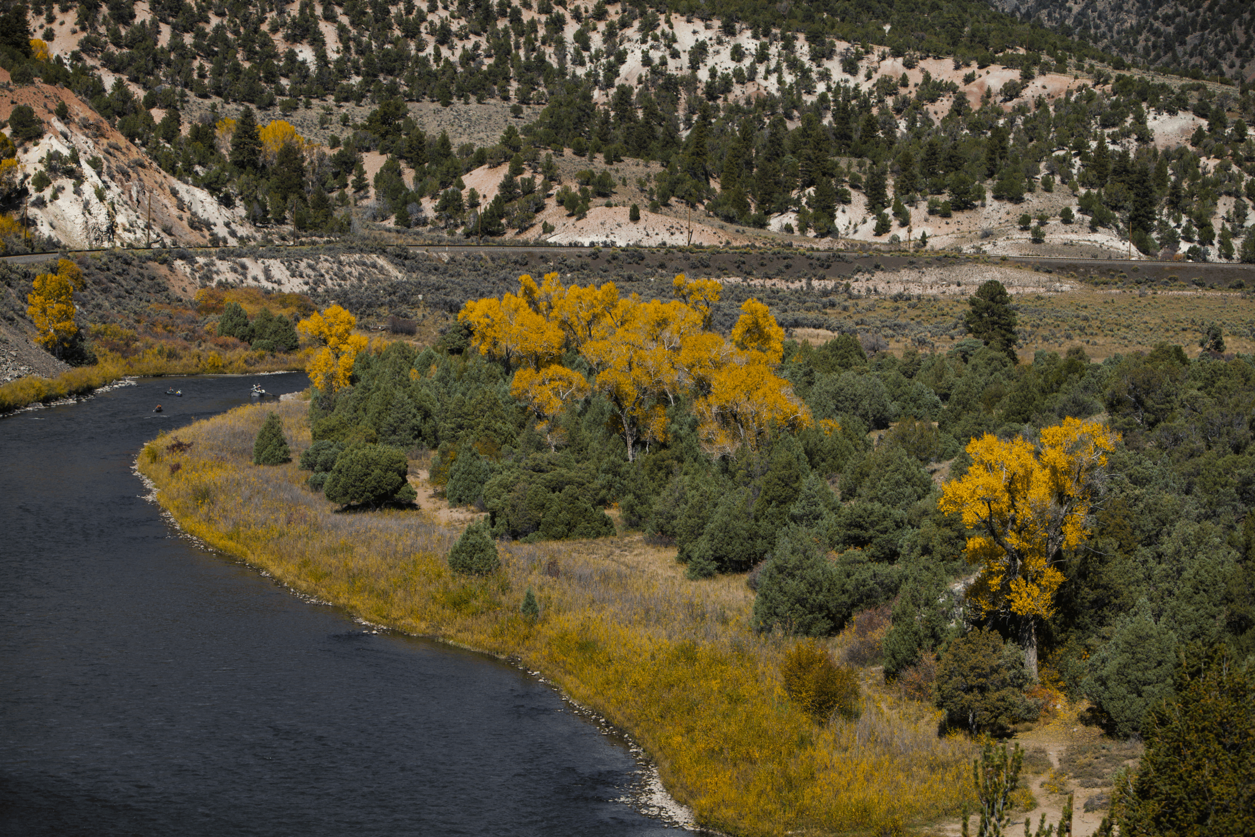roadless rule colorado