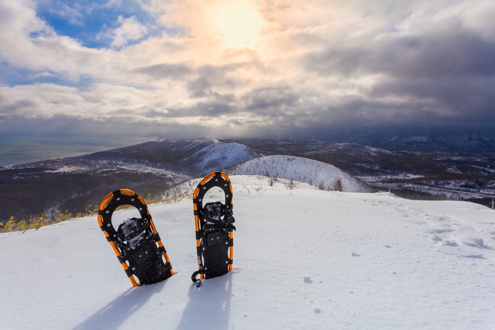 aiare 1 snowshoe