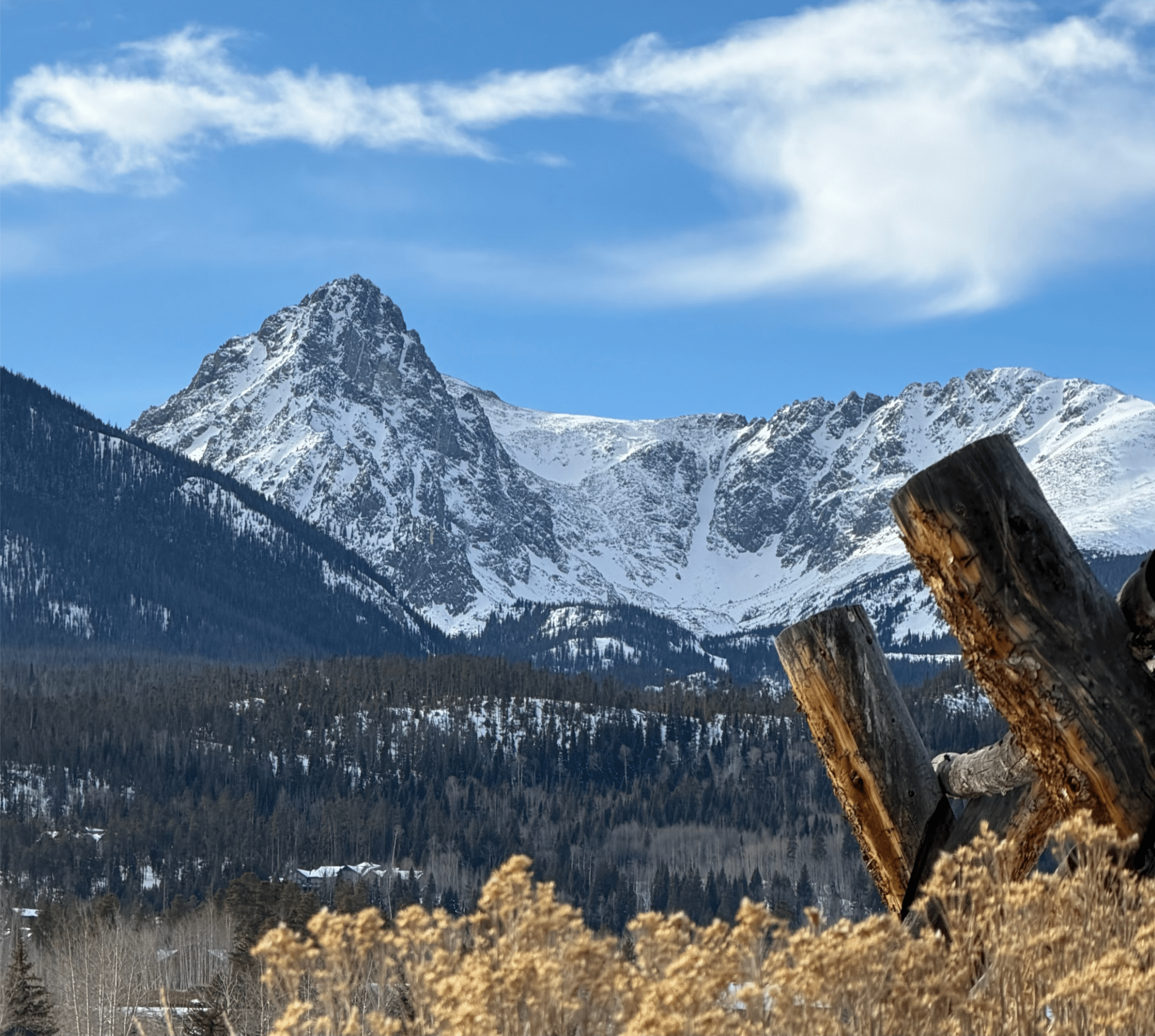 silverthorne