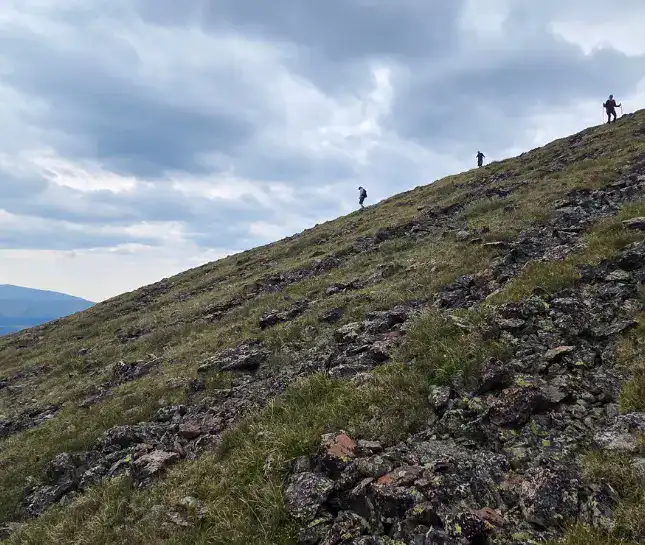 hike to francie's downhill