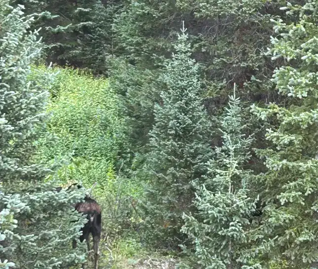 hike to francie's wildlife