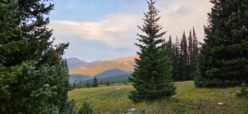 View from Francie's cabin at dawn