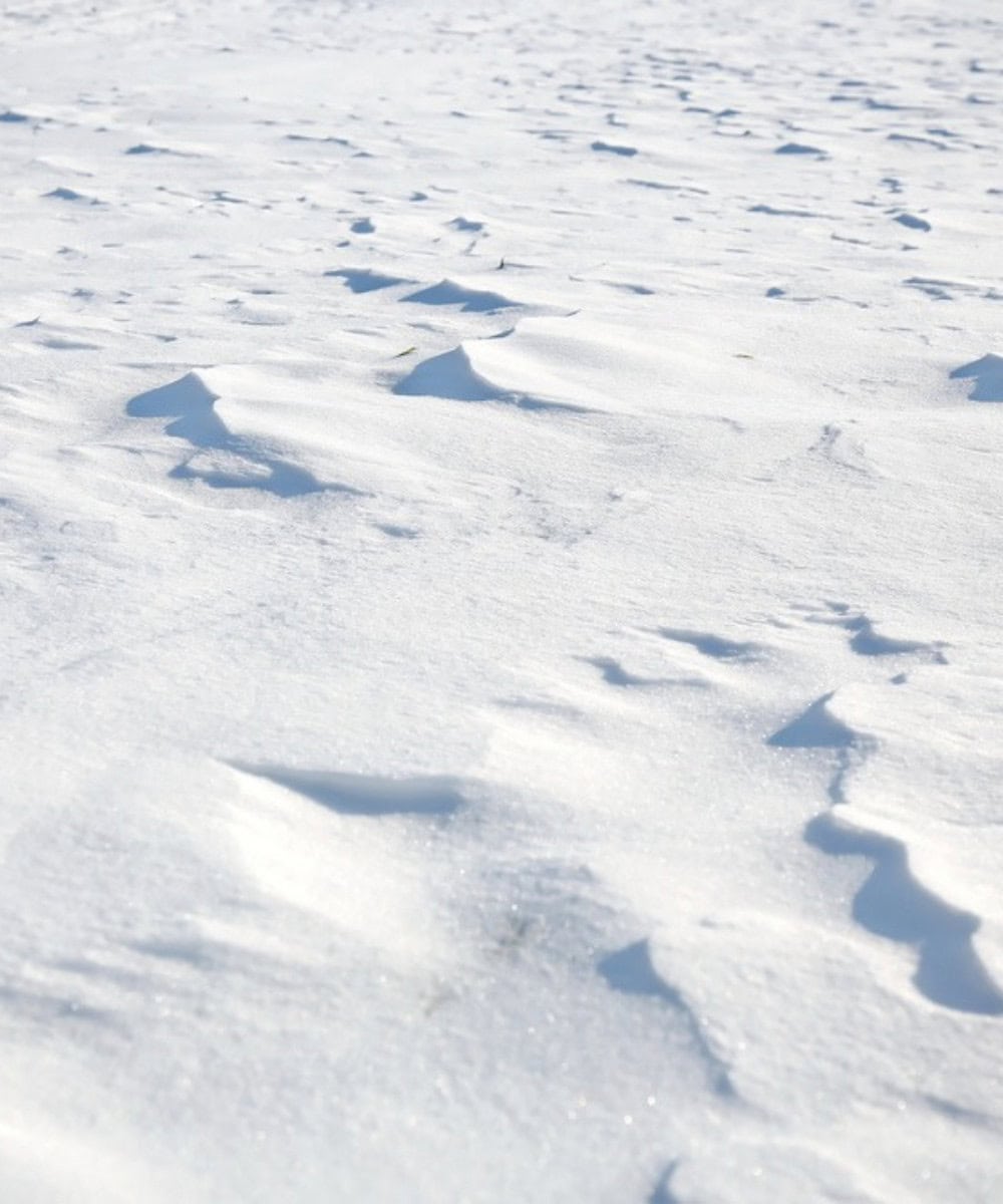 colorado snowpack and avalanche education
